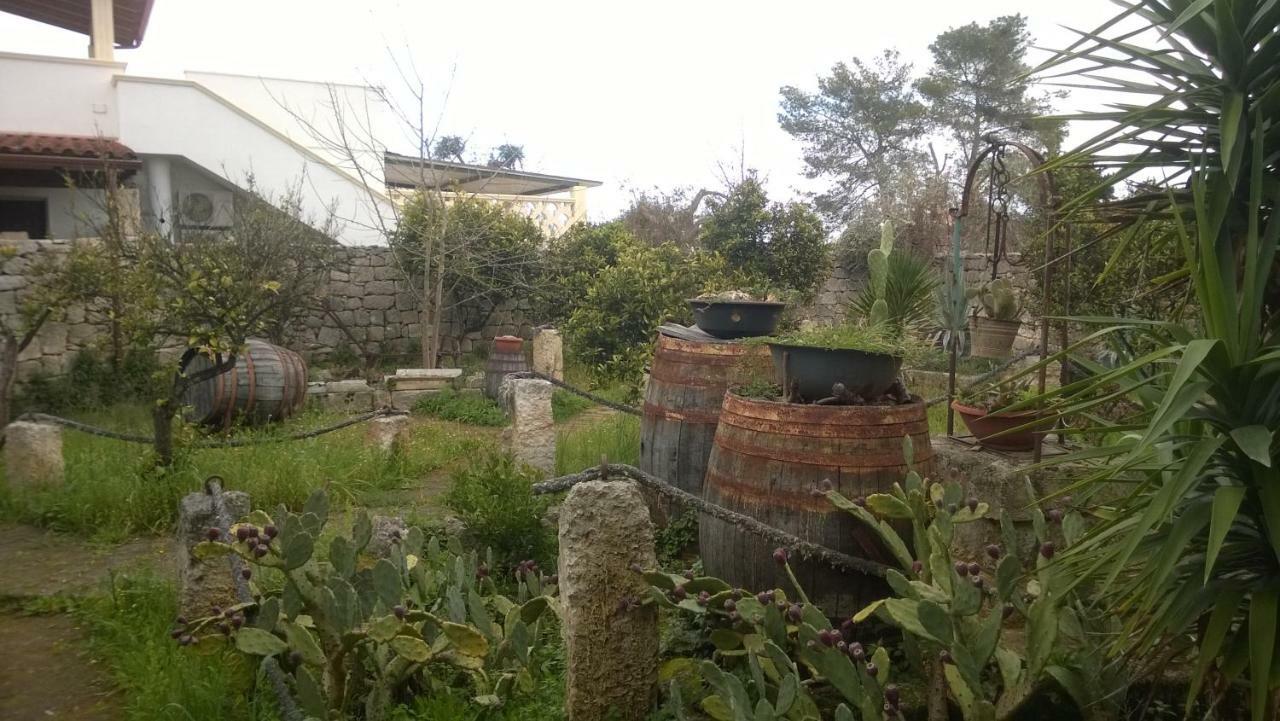 拉塞塔罗萨住宿加早餐旅馆 加拉托内 外观 照片